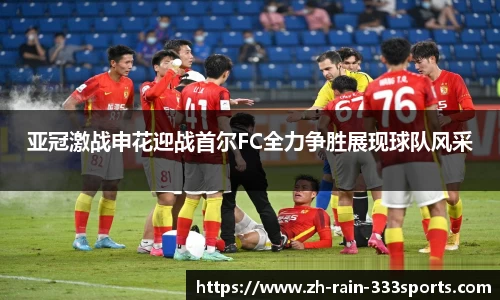333体育官网