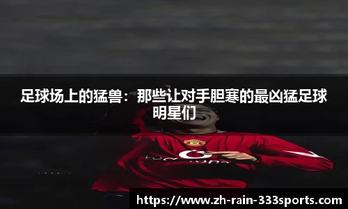 足球场上的猛兽:那些让对手胆寒的最凶猛足球明星们